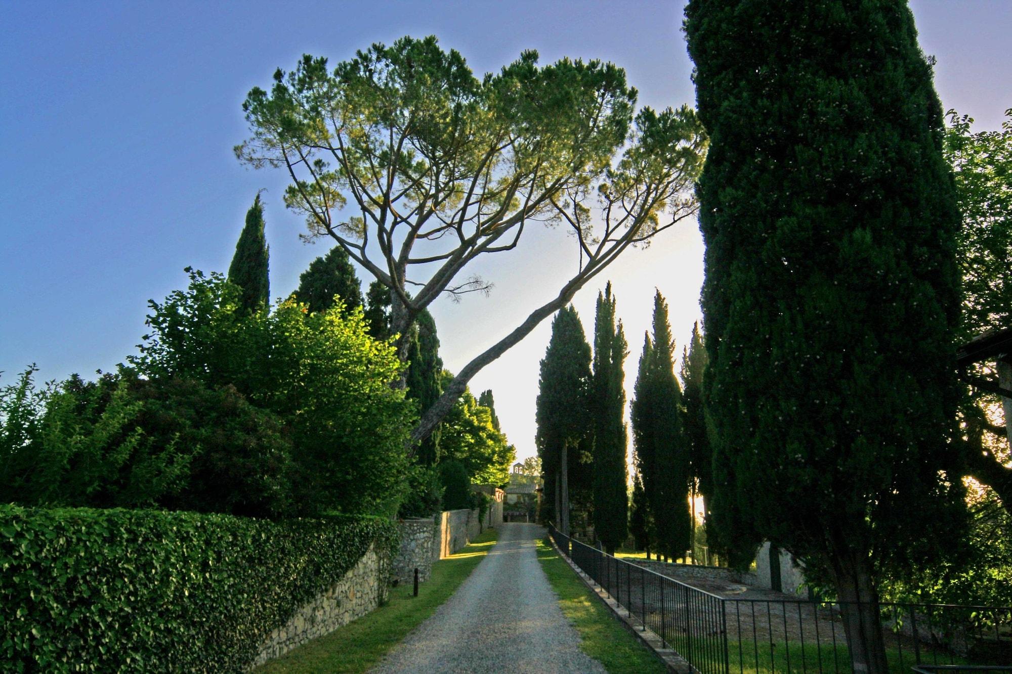 Tenuta Di Ricavo Castellina in Chianti Exteriér fotografie