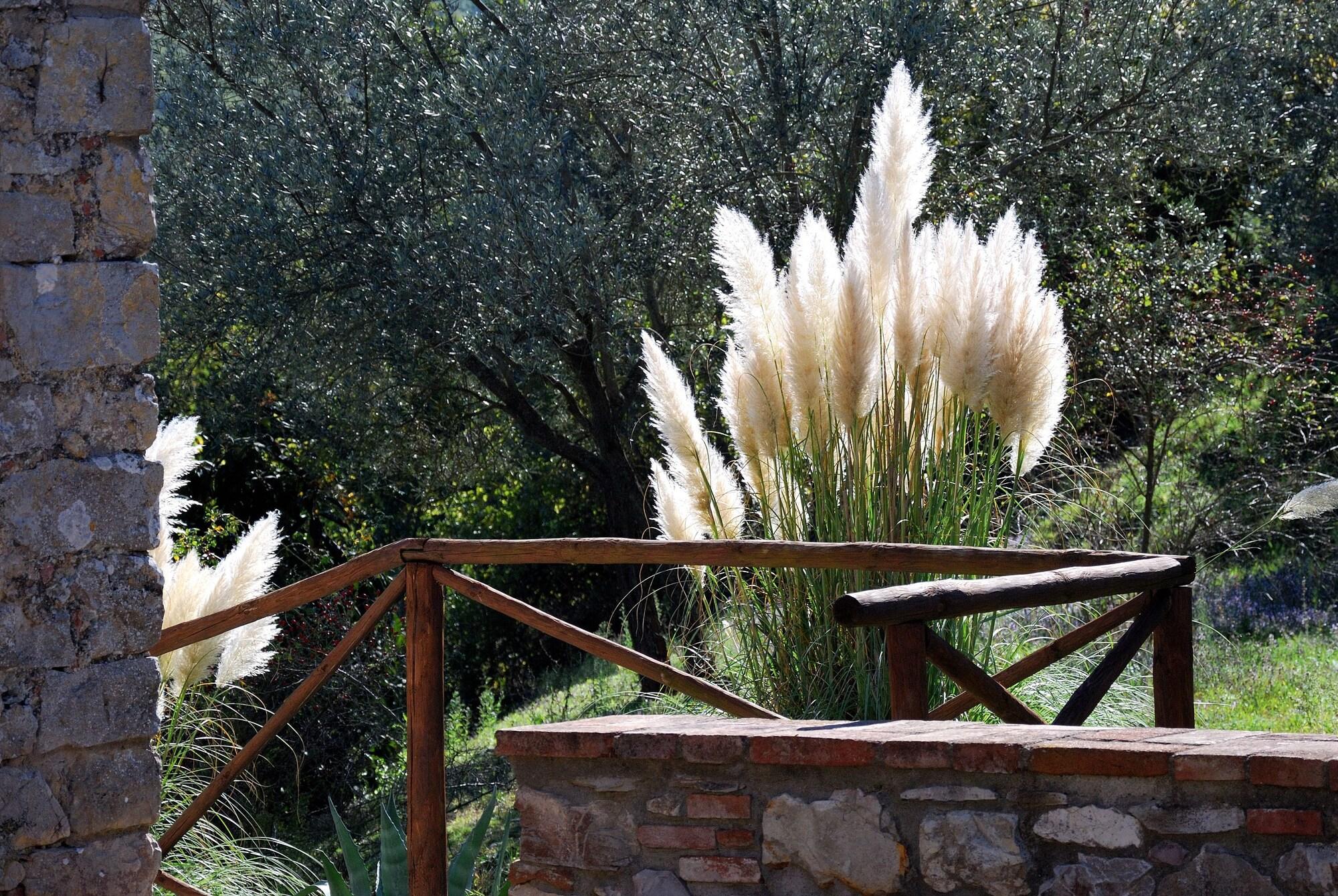 Tenuta Di Ricavo Castellina in Chianti Exteriér fotografie